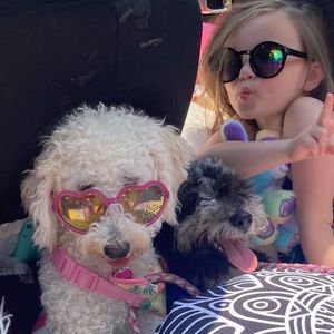 Meet your Posher, Dani